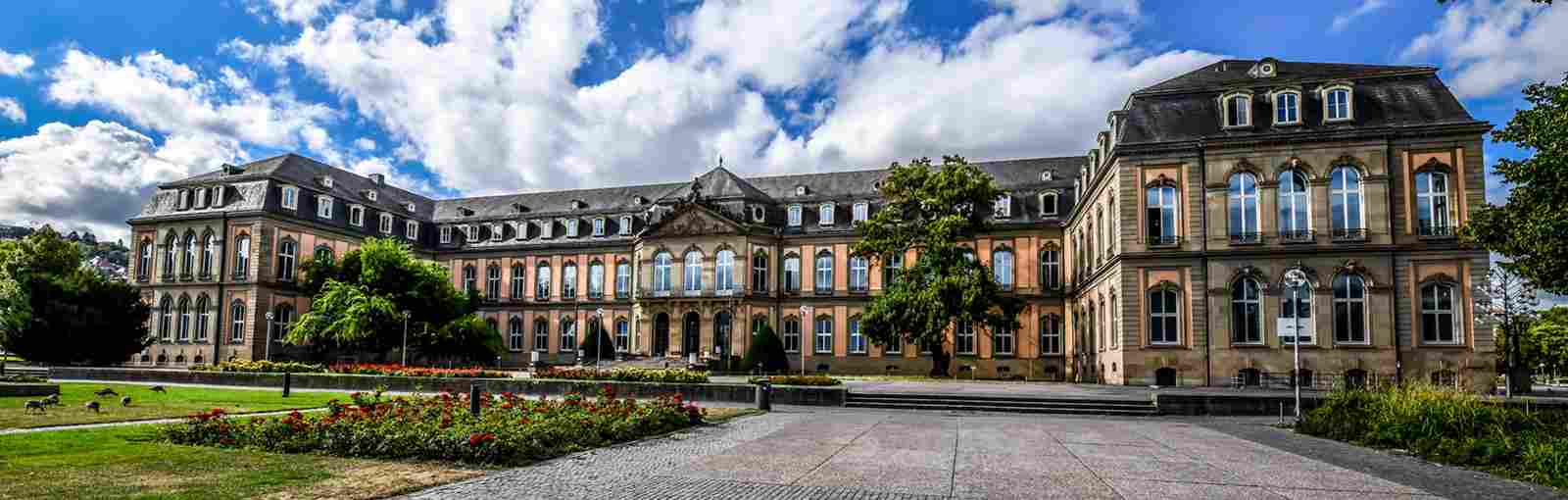 Neues aus dem Landesverband