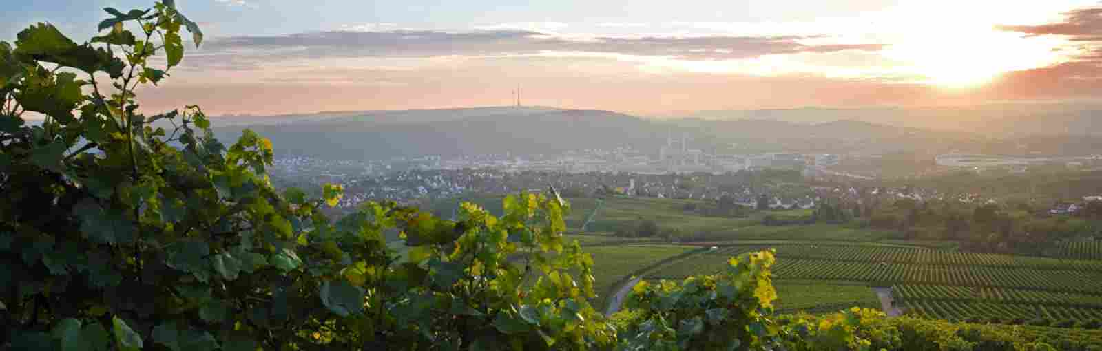 Haus & Grund Württemberg 04.2026